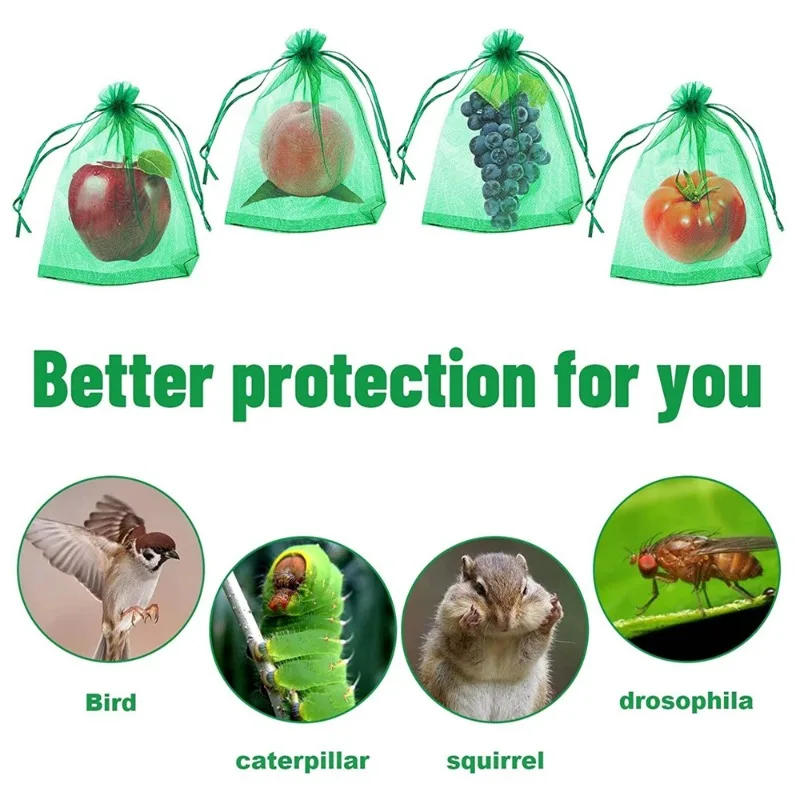 50pcs 20x30cm Fruit Protection - đánh giá và giá Mesh Net Bag