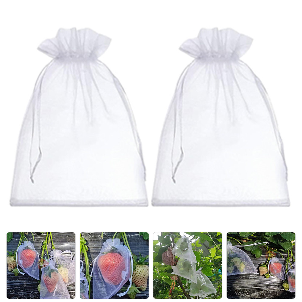 50Pcs Fruit Protection Bags Me - đánh giá và giá Mesh Net Bag