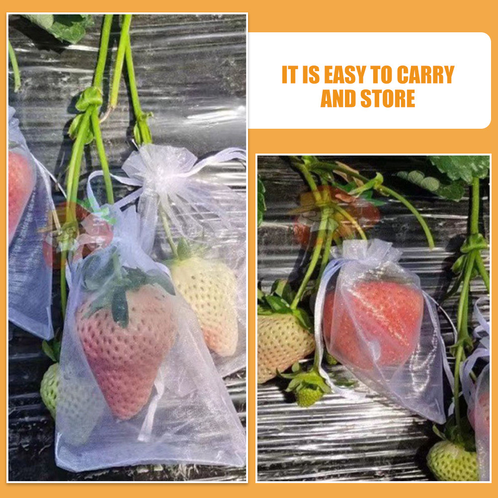 50Pcs Fruit Protection Bags Me - đánh giá và giá Mesh Net Bag