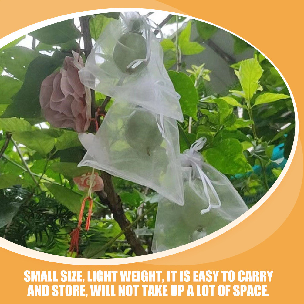 50Pcs Fruit Protection Bags Me - đánh giá và giá Mesh Net Bag